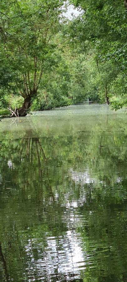 L'Enclos Bleu, Gite - Marais Poitevin Avec Piscine Chauffee Chaille-Les-Marais Экстерьер фото
